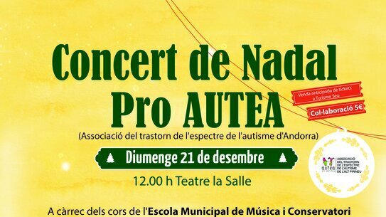 Concert de Nadal