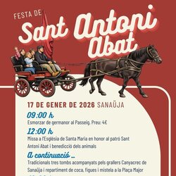 Festa de Sant Antoni Abat