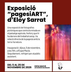 pagesiART