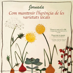 Com mantenir l'herència de les varietats locals