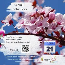 Vermut entre flors