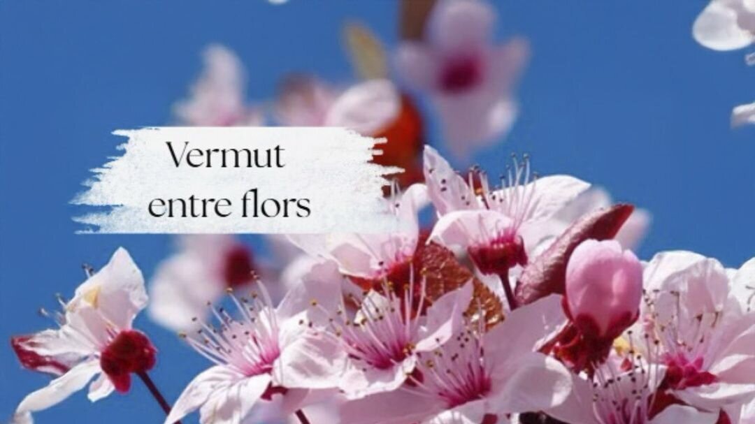 Vermut entre flors