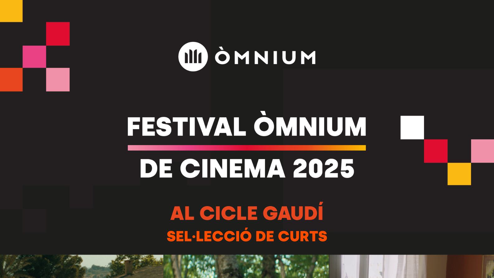Festival de Cinema d'Òmnium Cultural