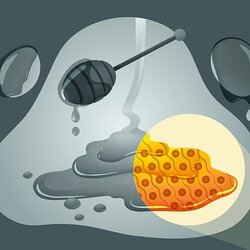 Conferència 'Per què l’aigua mulla, l’oli taca i la tinta tenyeix?'