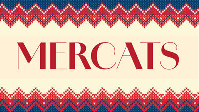 Mercats de Nadal de Lleida