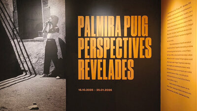 Visites comentades a l'exposició 'Palmira Puig. Perspectives revelades'