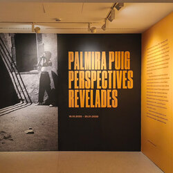 Visites comentades a l'exposició 'Palmira Puig. Perspectives revelades'