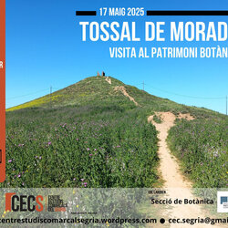 Tossal de Moradilla