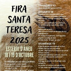 Fira de Sant Teresa