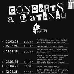 Concerts a l'Ateneu