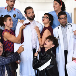 Els Bojos del Bisturí