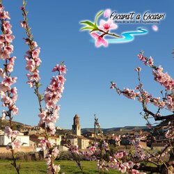 Escapa't a Escarp! Ruta de la Floració a l'Aiguabarreig