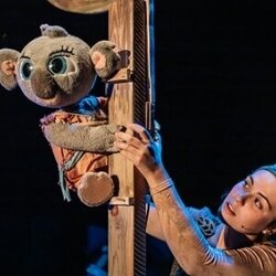 Bunji, la petita coala - Cia. Festuc Teatre