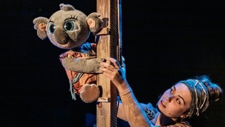 Bunji, la petita coala