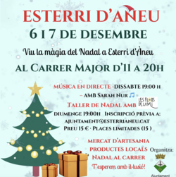 Fira de Nadal