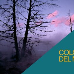 Visita en família. Per què el cel no és sempre blau?