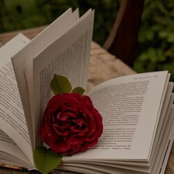 Signatures de Sant Jordi a la Caselles