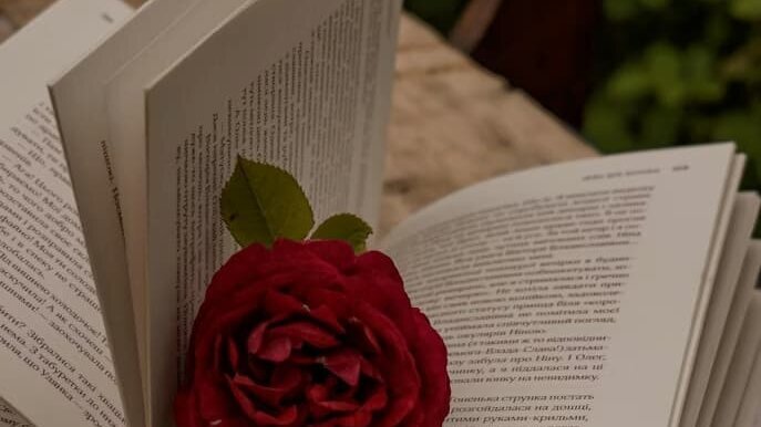 Signatures de Sant Jordi a la Caselles