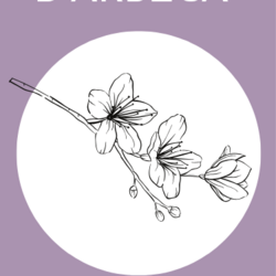 Primavera Cultural a Arbeca