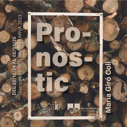 Exposició 'Pronòstic. Un estudi del bosc'