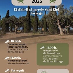 Festa de l'arbre