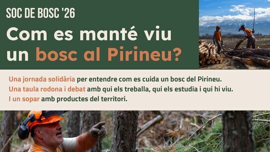 Soc de Bosc