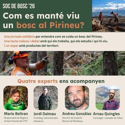 Soc de Bosc