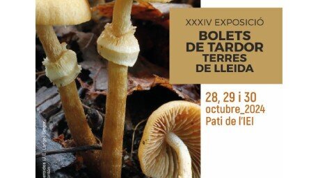 Exposició "Bolets de tardor de les Terres de Lleida" al pati de l'IEI
