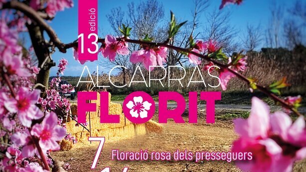 Alcarràs Florit
