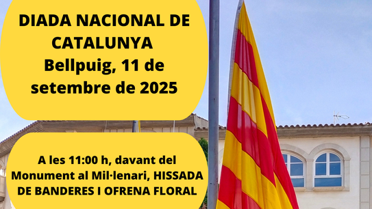 Diada a Bellpuig