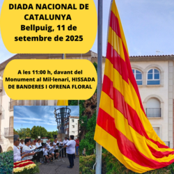 Diada a Bellpuig