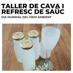 Tallers de Cava i Refresc de Saüc