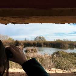 Ecodescoberta. Els Aiguamolls de Rufea