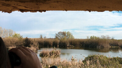 Ecodescoberta. Els Aiguamolls de Rufea