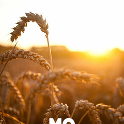 Conversa entre Teresa Ibars, Roser Vernet i Júlia Viejobueno