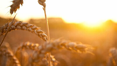 Conversa entre Teresa Ibars, Roser Vernet i Júlia Viejobueno