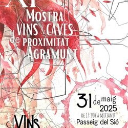 XI D'VINS