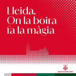 Festes de Nadal a Lleida. "Lleida, on la boira la la màgia"