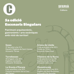Escenaris Singulars
