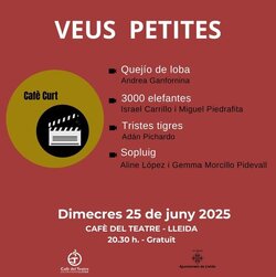 Sessió 'Veus petites' al Cafè del Teatre