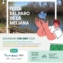 Festa de la Mitjana