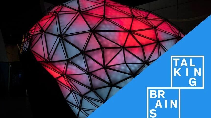 Visita en família: parlem del cervell