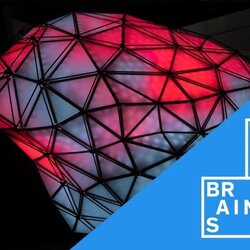 Visita en família: parlem del cervell