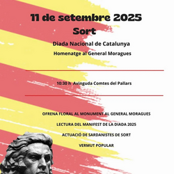 Diada a Sort