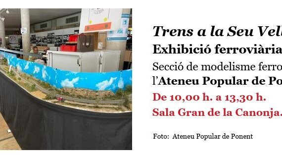 Trens a la Seu Vella