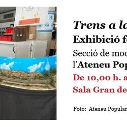 Trens a la Seu Vella