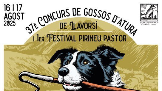 Concurs de Gossos d’Atura