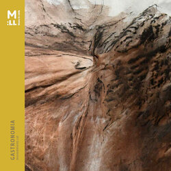 Nits Gastronòmiques del Museu de Lleida