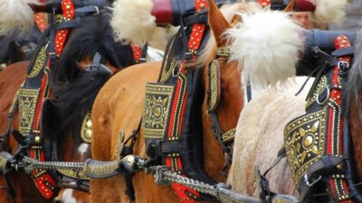 Festa de Sant Antoni a Linyola