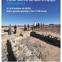 Visita guiada gratuïta al Molí de l'Espígol